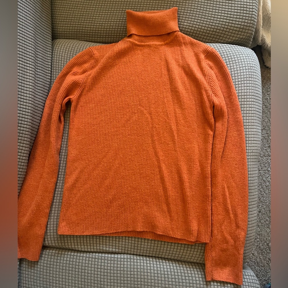 The Limited Italian Merino Turtleneck Sweater